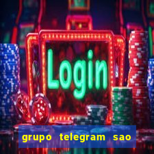 grupo telegram sao jose do rio preto